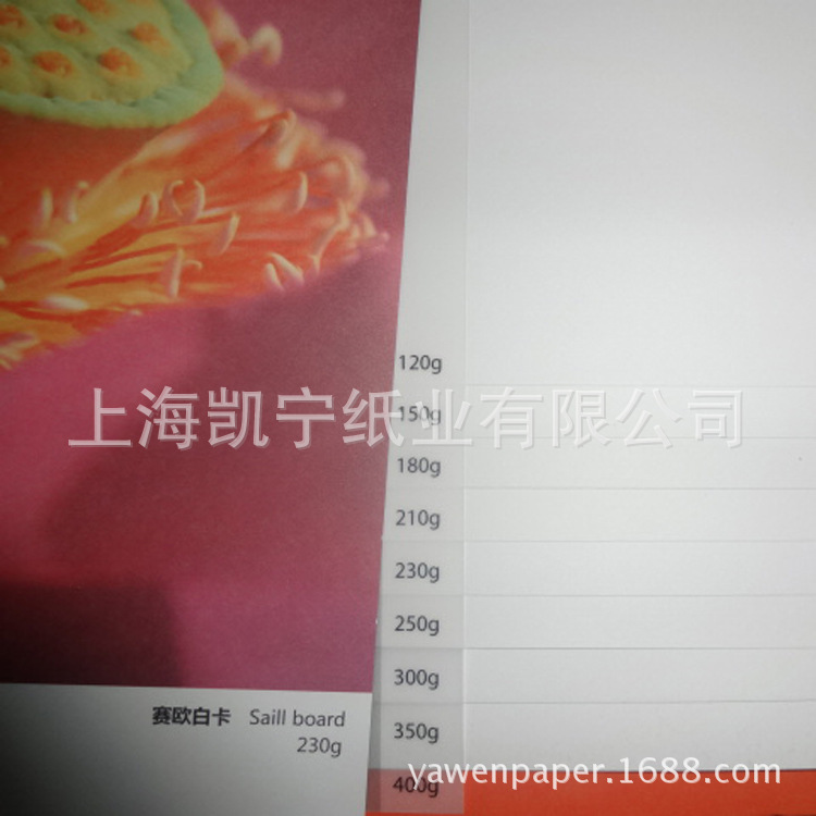 180-400g unpainted white card paper new style American Plato art…