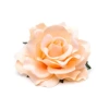Champagne color