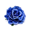 Blue of heaven