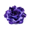 Grape purple