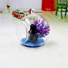 Factory hanging glass crystal ball vase Hydrophon flower fleshy moss bottle micro -landscape vase