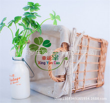�S�����l���a���ﲼ��������@��ˮ�����@�YƷ�@�Ҿӻ@�N������@