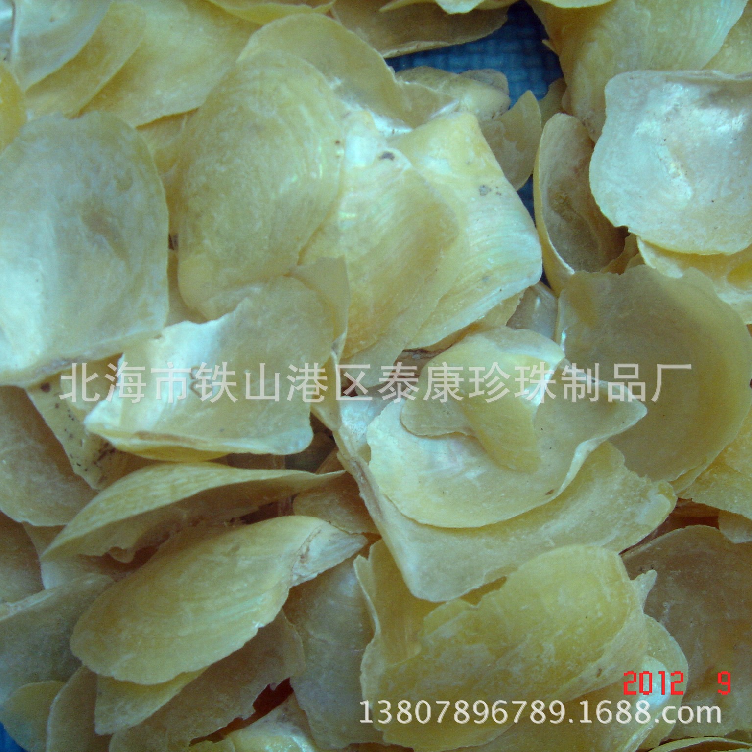 ��ƤƯ�� ���ɫ���鱴��   ���ϱ�����������ĸ������Ȼ�ֹ�����