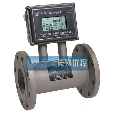 湖南长沙气体涡街涡轮流量计测量气体、蒸汽或液体的体积和质量