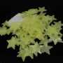 童乐荧光循环宿舍墙贴