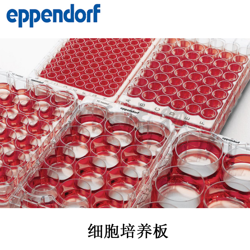 Eppendorf 96孔细胞培养TC处理带盖平底无菌独立包装0030730119