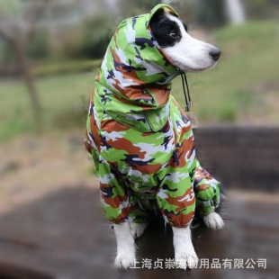 ���·�����һ�w���_�B�w���͹���������ȫ���Բ����S�ҬF؛���l