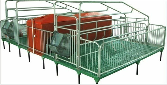 母猪产床 猪产床 母猪分娩床 双体