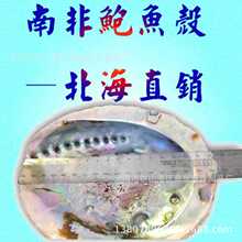 �Ϸ��U�~�� 14~20cm �{ɫ�U�~ؐ��SOU-BLU-UNG-KGS������Ȼ��Ʒ