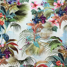 Srֱ唵aӡӾTзrb۰Ⲽᘿ