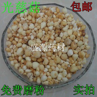 ��ș�Ĺ�ȹ� ɽ�ȹ� ë�ȹ�  �״ȹ� �޻��� ë�������f�����f�^