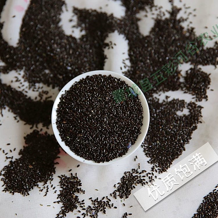 Синьцзян 65 полк происхождения Семена лаванды Французский синий сорт Аутентичные семена римской ромашки Семена снежной хризантемы