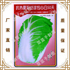 Feng Zilong seed manufacturer directly sells Zero Datian base Temu -Xiayang knot ball Baoxinbai 50 days 303