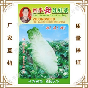 �T�����S��ֱ�����������ش����ļ��Nֲ   �ļ������޲�