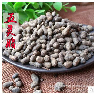 ��ș�����l���`֬ �ڠ�ţ �����`֬ ���l�rĥ������