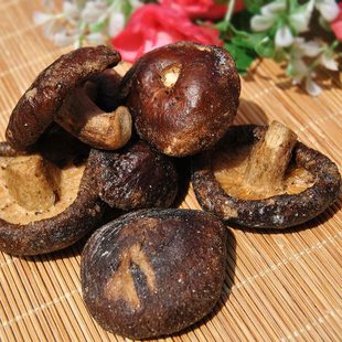 �㹽�����lɢ�b  ���߸�Ģ�����㹽�ɼ�ʳ�㹽��Ƭ��ʳ����10����