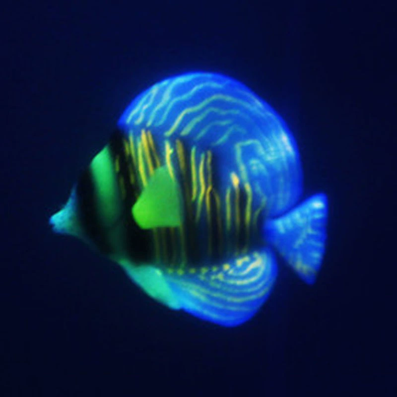 Fish tank decorative simulation seafish aquatic luminous plastic fish 2016 hanging fish