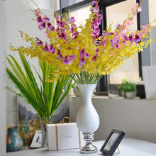 ��֦����5�������m ��c·���仨��Y����T̨ ���b��[�Ž���