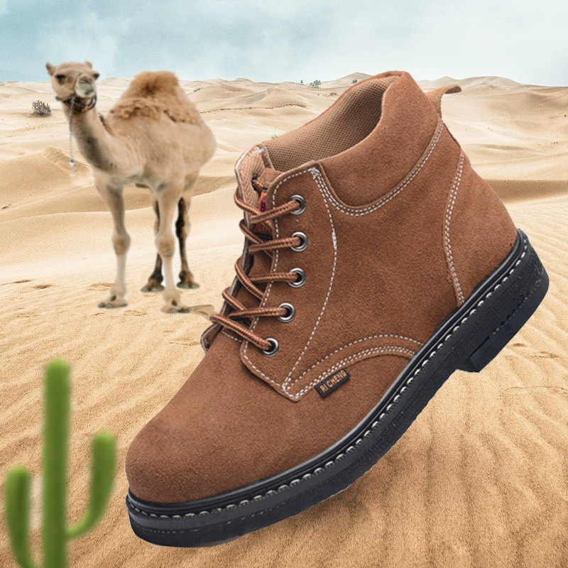 Оптовая оптовая обувь по страхованию труда Защитная обувь Защитная обувь