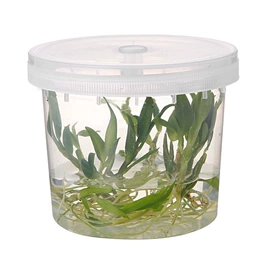 洗头帽;沐浴球浴擦;其他婴儿洗护