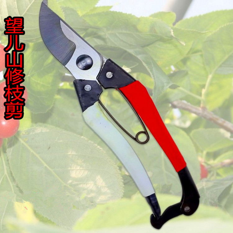 红梅子剪刀双色铁柄整枝剪修枝剪盆景修剪工具