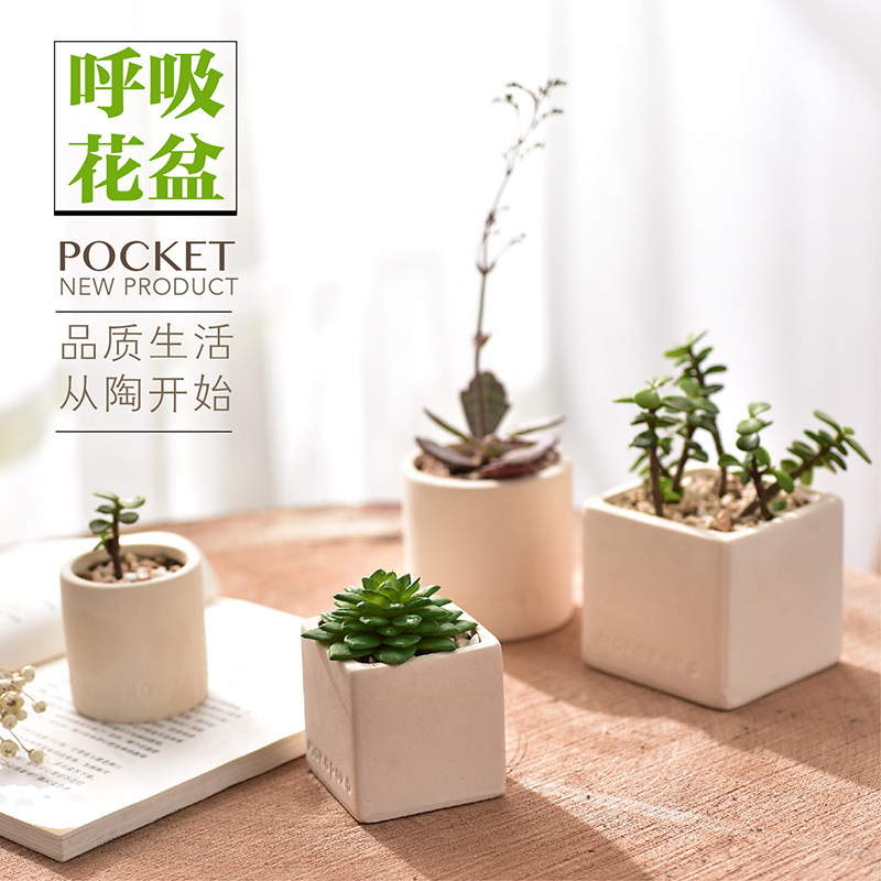 Cross -border flower pot ceramic crafts