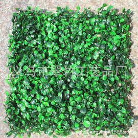 25x25仿真米兰塑料草坪加密瓜子草皮人造假草坪植物墙装饰批发