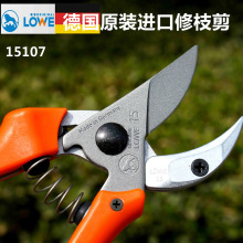 ��ԭ�b�M�ڪ{�Ƽ�15107��֦�@ˇ�F�軨֦����֦���ּ�