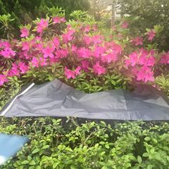 廠家供應40*95cm(總尺寸）特長款深灰色快遞袋包裝袋物流袋郵購袋