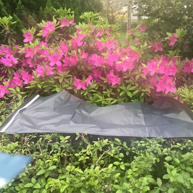 Reprehenderit qui in ea