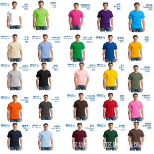 GILDAN������76000�п��׈A�I�V���Ļ�T����ӡ�������������l