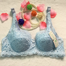 �羳ŷ�������Ը���˿���ش�����С�����и�Ȧ�����;�£���س���