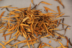 批發 雲南滇紅茶 2024年 理條大芽金針 鳳慶滇紅茶金芽 全單芽直