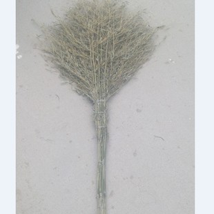 ���l��߰Ѵ�߰ьWУ�R·�h�l����҄��坍����������ð�؛�s��