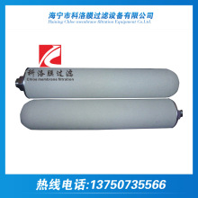 Sҹ ppVо մɞVо 10۱ϩ΢מVо