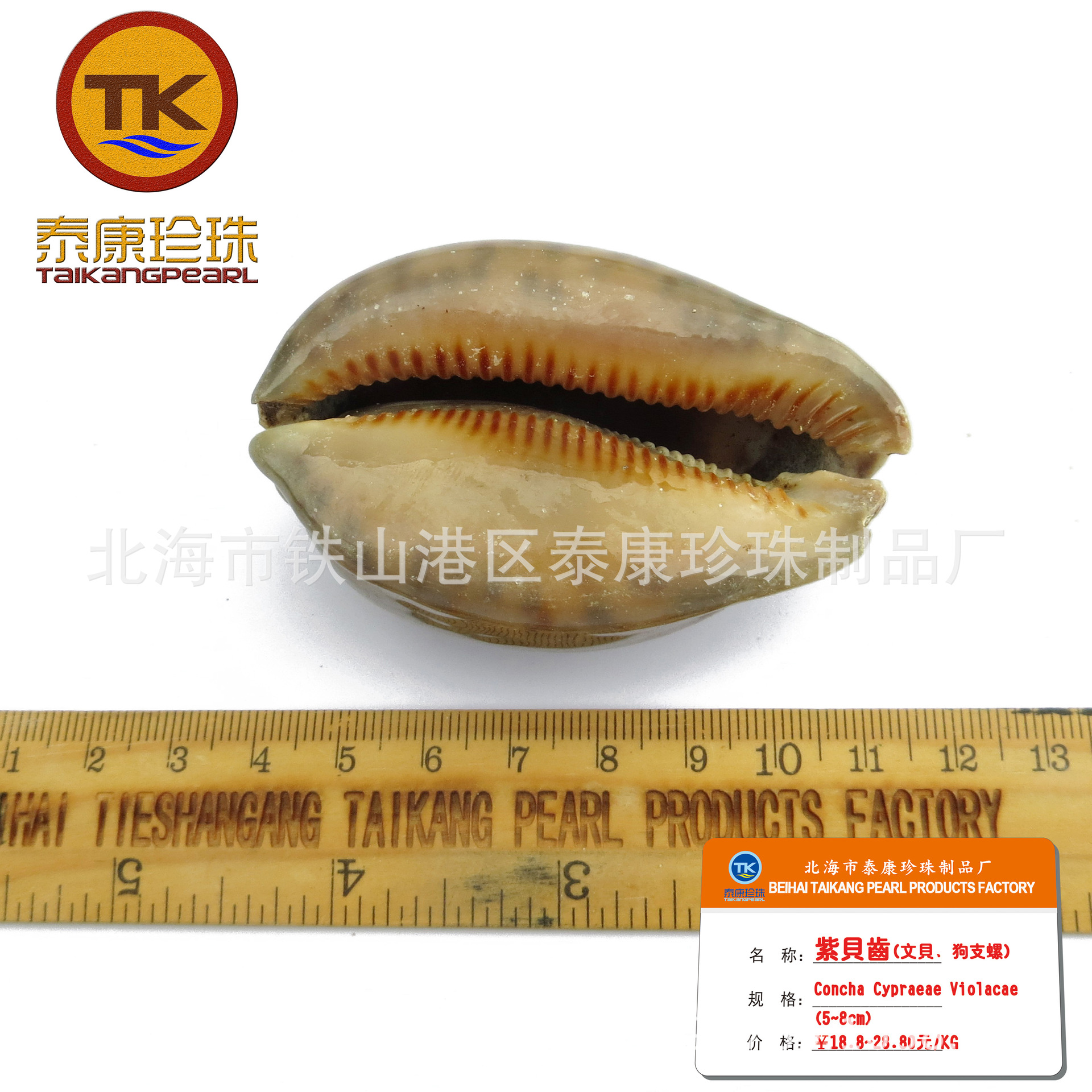 �����ϱ���_�ϱ����� _�̱���_���ı�_��֧��_�������ݱ� ������