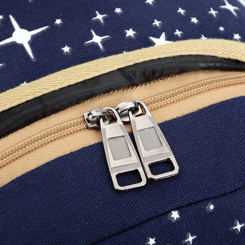 Wholesale Women's Korean Style Canvas Print Student Dual Shoulder Bag Large Capacity Backpack College High School School Bag