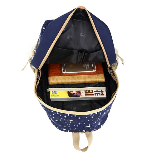 Wholesale Women's Korean Style Canvas Print Student Dual Shoulder Bag Large Capacity Backpack College High School School Bag
