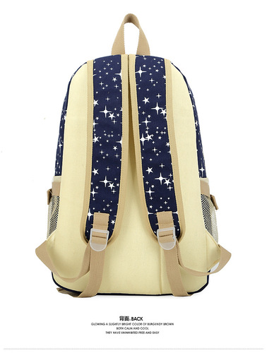 Wholesale Women's Korean Style Canvas Print Student Dual Shoulder Bag Large Capacity Backpack College High School School Bag