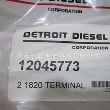 �F؛/DELPHI 12045773 ���� � ������ ��Ƭ��湩�� ���Ƭ