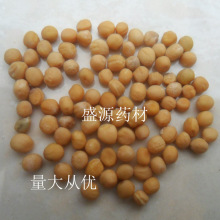 中药材批发 白芥子芥菜子 辣菜子 白介子青菜子 代加工超细粉