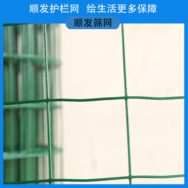厂家现货铁丝网 围栏养殖护栏网包塑铁网 应防护浸塑荷兰网