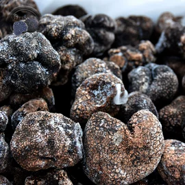 其他干货;冷冻蔬菜;羊肚菌