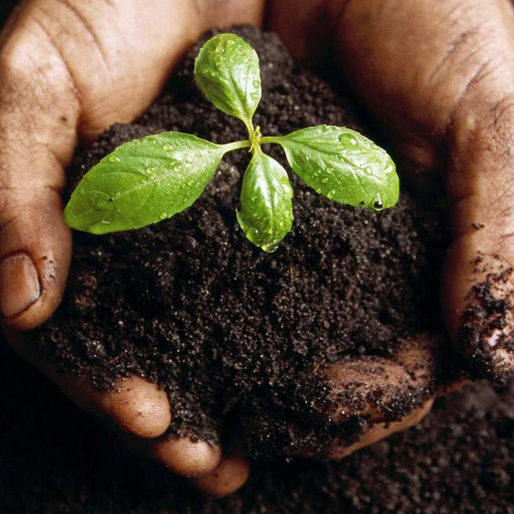 现货供应营养土种花土月季绿萝草莓通用型家用盆栽养花营养土矿物