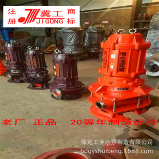 ZJQ NSQ250-20-30��ɳ��ɳ�ӵ����� ��ɳ�����I ��ɳ��ˮ���{��