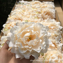 ����ĵ�����^ ���� DIY�^��b� ��ˇ ��c��Y���滨���� ���