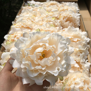 ����ĵ�����^ ���� DIY�^��b� ��ˇ ��c��Y���滨���� ���