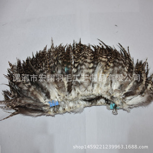 �S�ҹ�����Ȼ�J���u��ë5-6Ӣ�� �J����diy��ë�b����