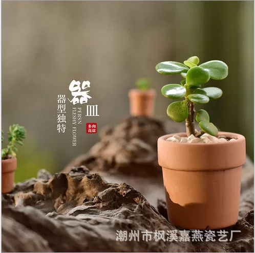 Мини-керамическая красная горшка Popular Pot Pot Mini Ceramics Mini Products Red Pottery Mini Pot