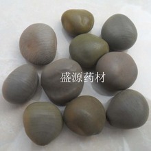 ��ș�� �춹 �R�� ������ ș���� �����~녌��� 녌��� ����ă�